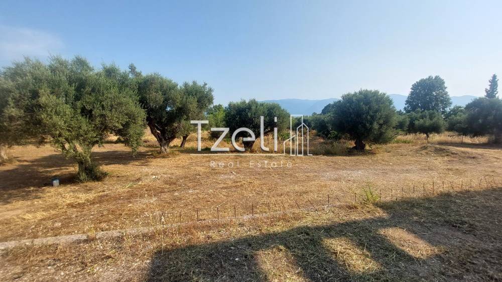 Άποψη οικοπέδου