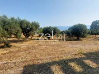 Άποψη οικοπέδου