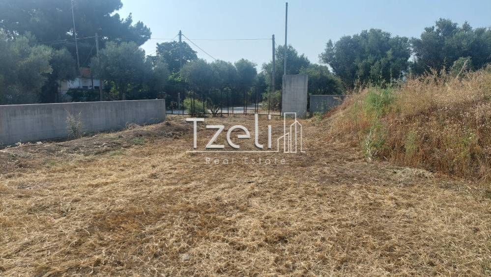 Άποψη οικοπέδου