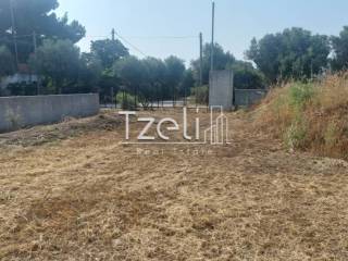 Άποψη οικοπέδου