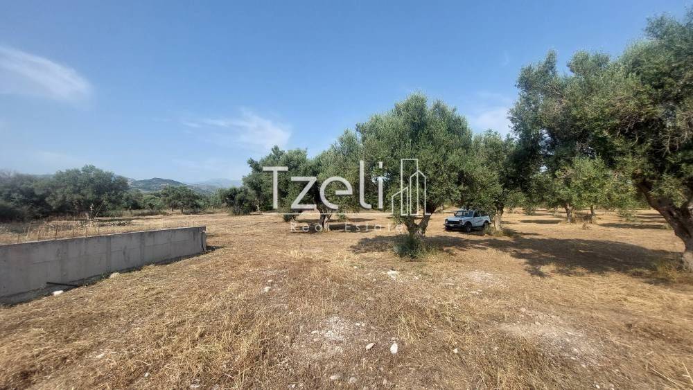 Άποψη οικοπέδου