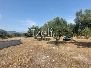 Άποψη οικοπέδου