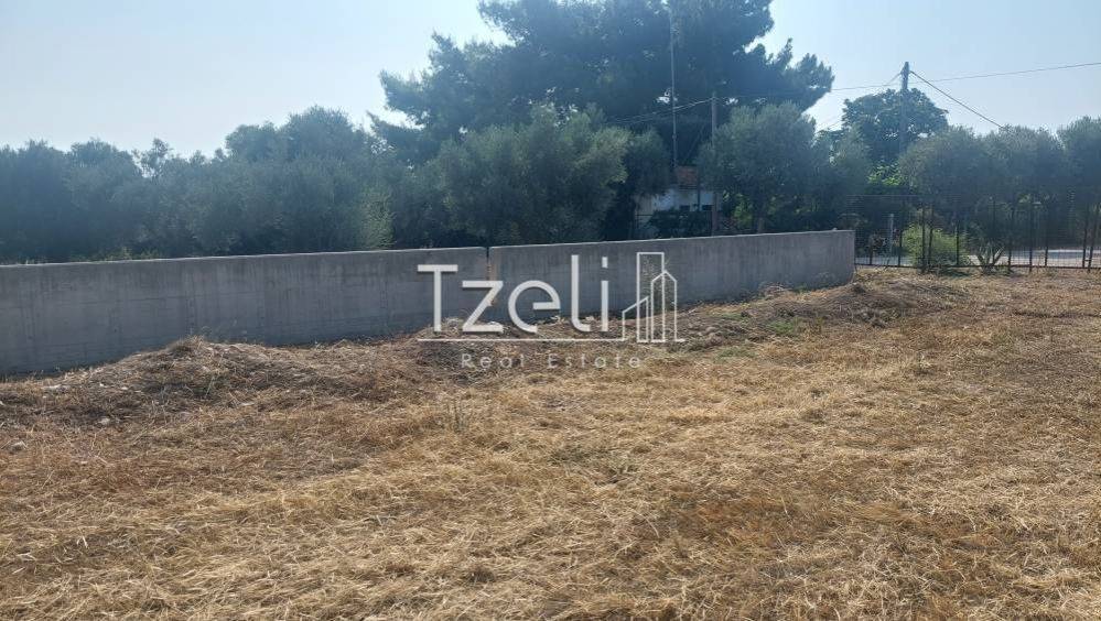 Άποψη οικοπέδου