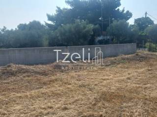 Άποψη οικοπέδου