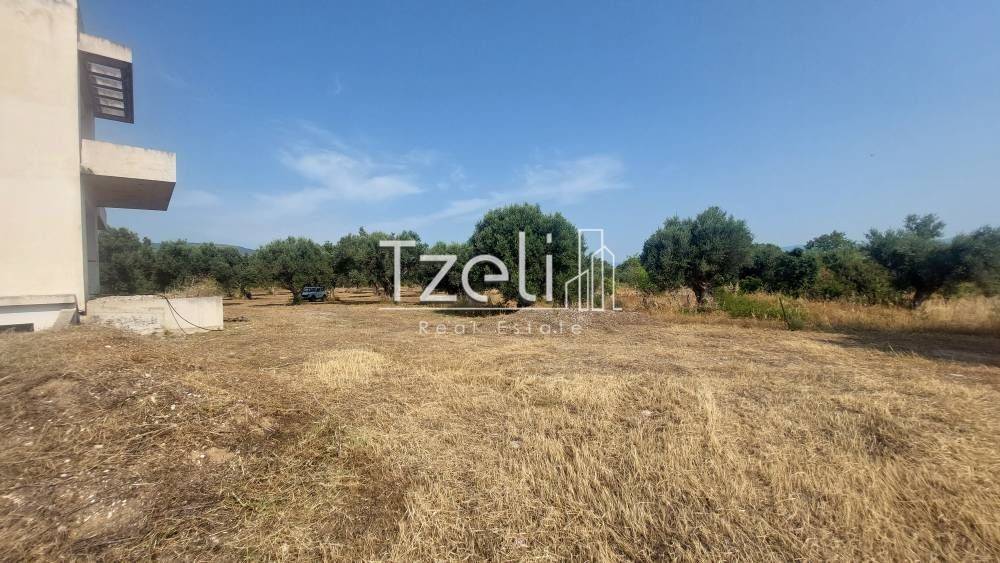 Άποψη οικοπέδου