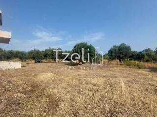 Άποψη οικοπέδου