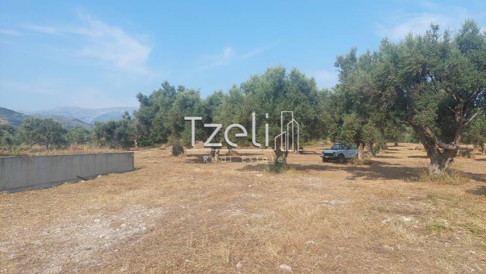 Άποψη οικοπέδου