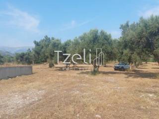 Άποψη οικοπέδου