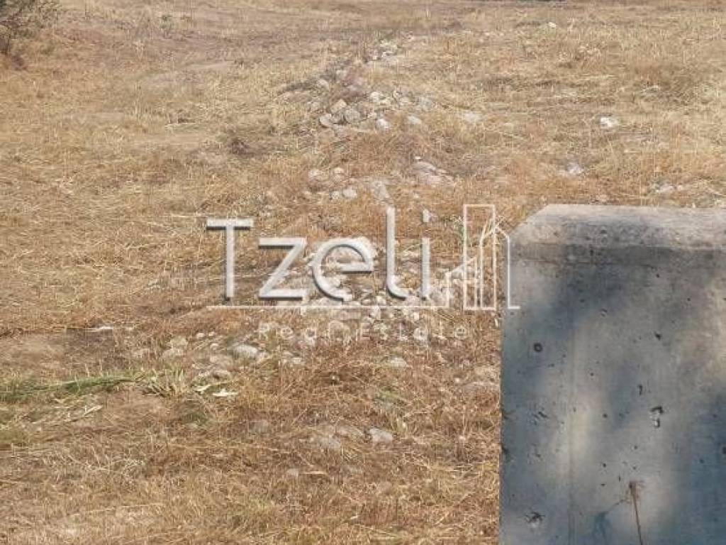 Άποψη οικοπέδου