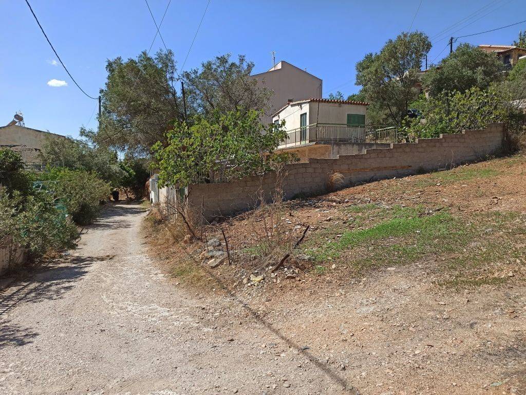 PROSOPSE 14 m. SE DROMO PLATOYS 5 m.