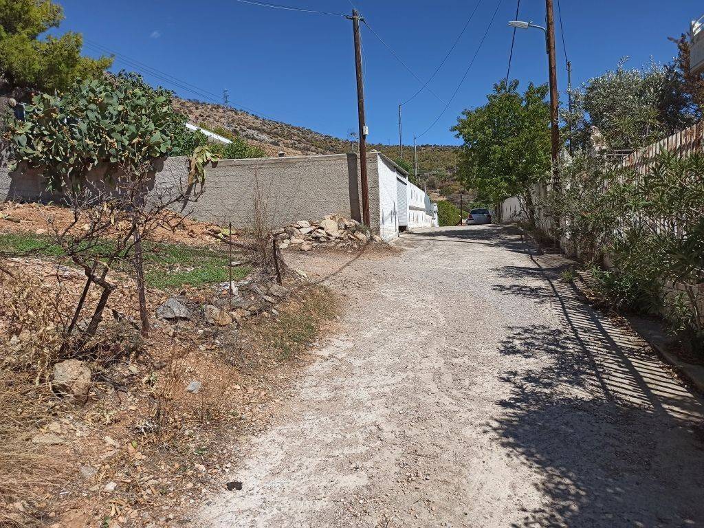 PROSOPSE 14 m. SE DROMO PLATOYS 5 m.