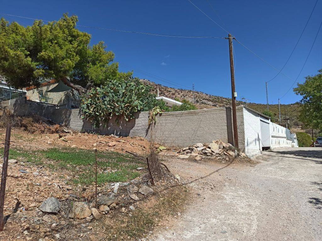 PROSOPSE 14 m. SE DROMO PLATOYS 5 m.