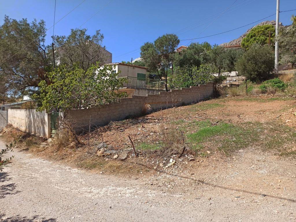 PROSOPSE 14 m. SE DROMO PLATOYS 5 m.