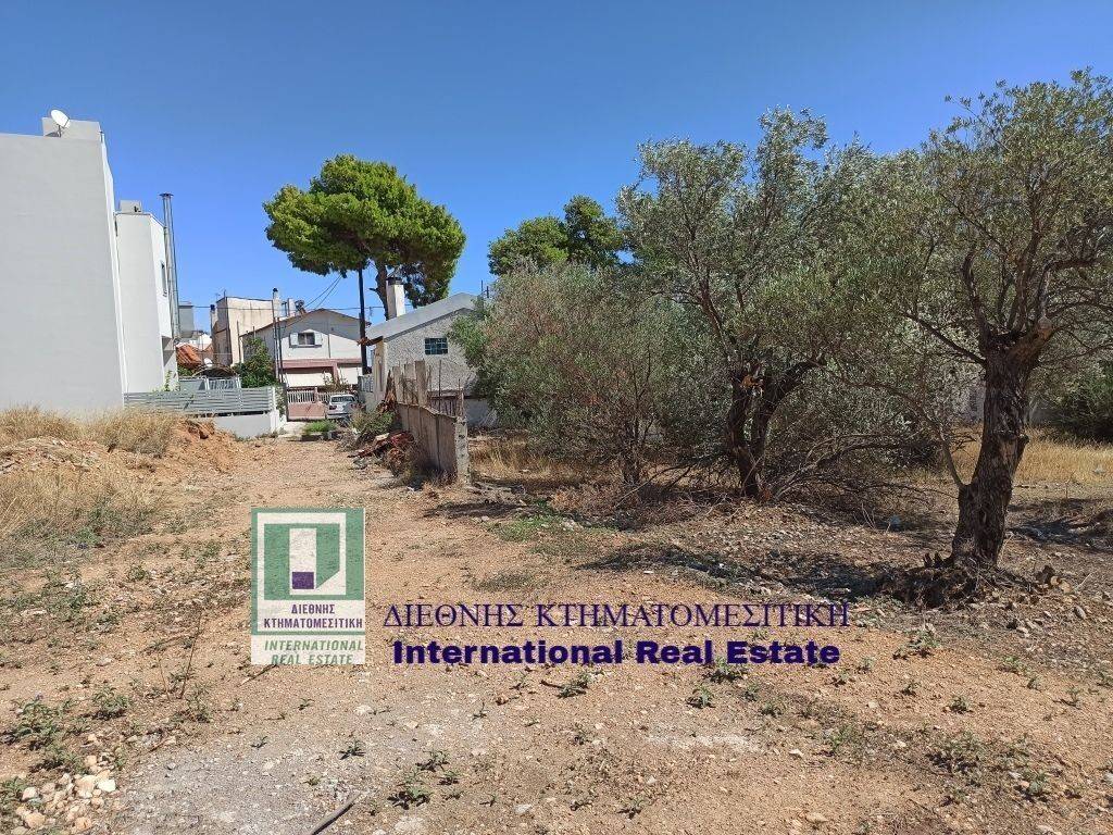 PROSOPSE 14 m. SE DROMO PLATOYS 5 m.