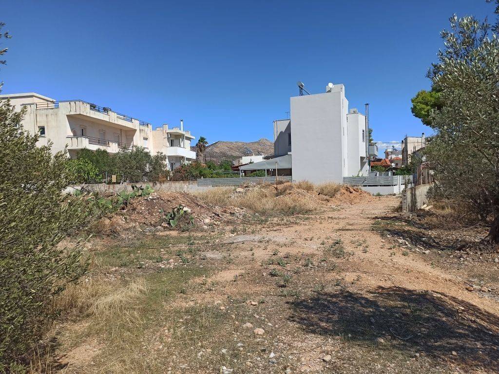 PROSOPSE 14 m. SE DROMO PLATOYS 5 m.