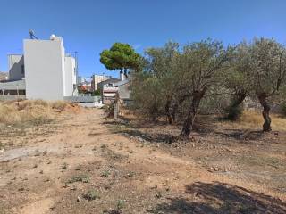 PROSOPSE 14 m. SE DROMO PLATOYS 5 m.