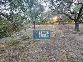 ★ Ιδανικό για ΚΑΤΟΙΚΙΑ ★ ΚΤΙΖΕΙ 525τμ ★ Πρόσοψη σε ασφαλτόδρομο ★ Σε ελαιώνα