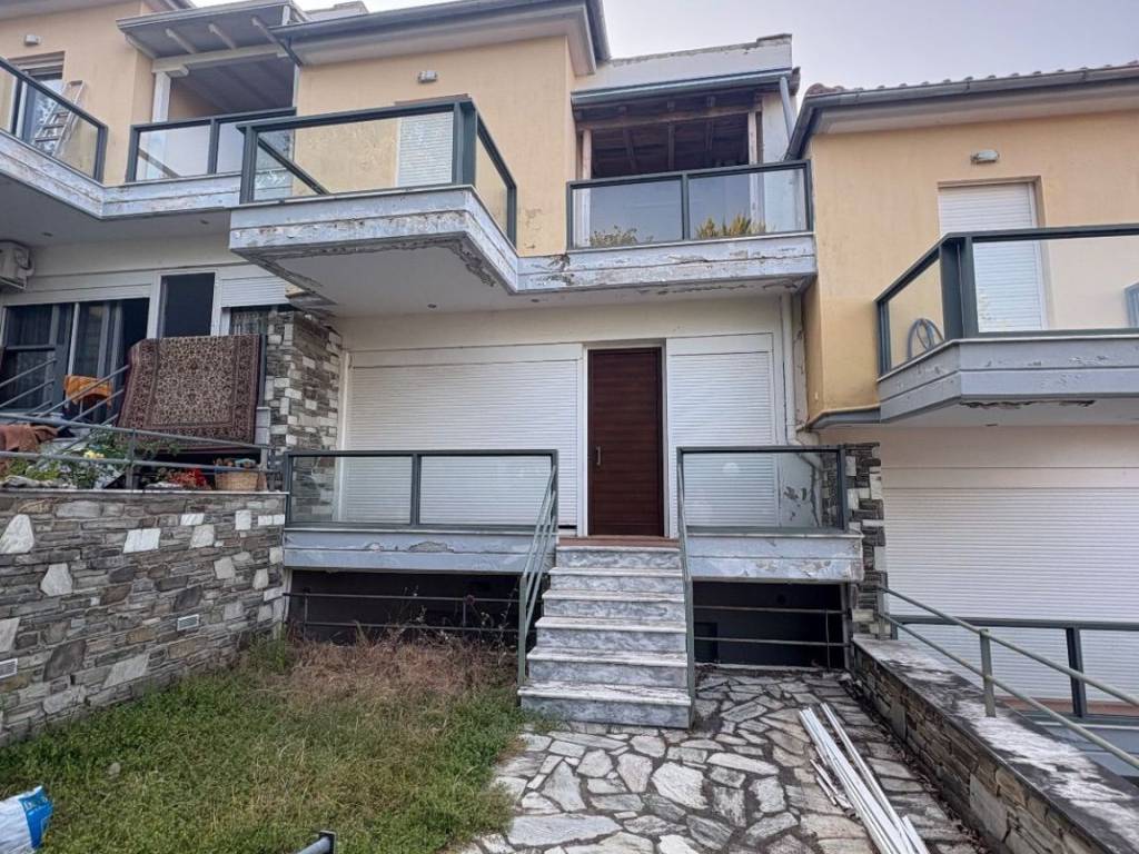 Exoterika e mezoneta