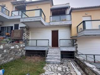 Exoterika e mezoneta