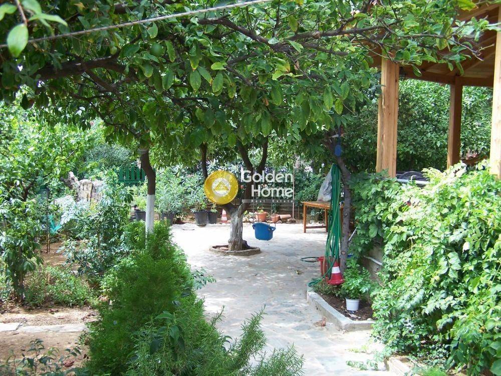 Κήπος