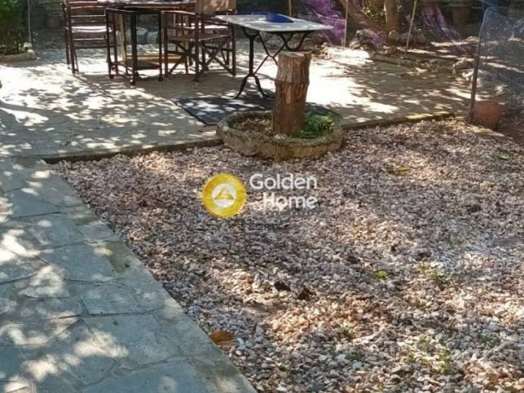 Κήπος