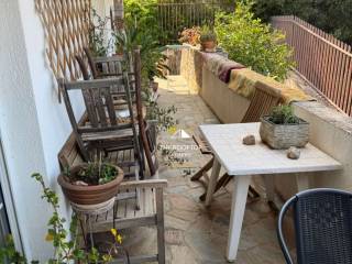 beranta ( 3e eikona)