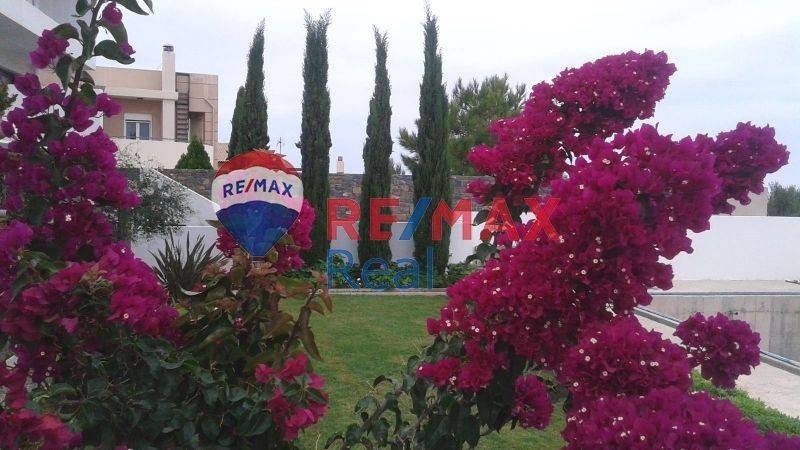 Ύπαρξη ανθρώπου