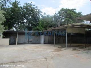 ΕΣΩΤΕΡΙΚΗ ΛΗΨΗ