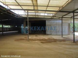 ΕΣΩΤΕΡΙΚΗ ΛΗΨΗ