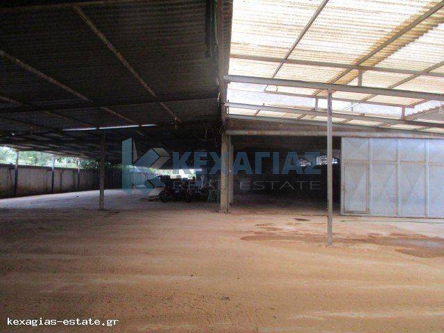 ΕΣΩΤΕΡΙΚΗ ΛΗΨΗ