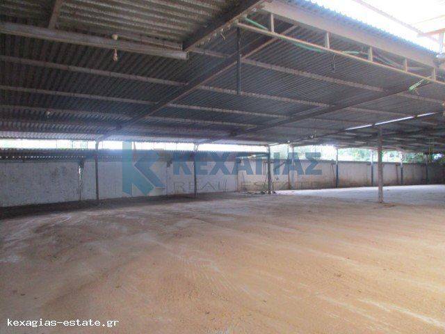 ΕΣΩΤΕΡΙΚΗ ΛΗΨΗ