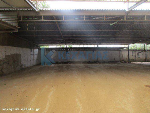 ΕΣΩΤΕΡΙΚΗ ΛΗΨΗ