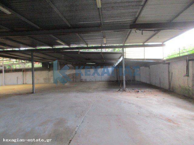 ΕΣΩΤΕΡΙΚΗ ΛΗΨΗ