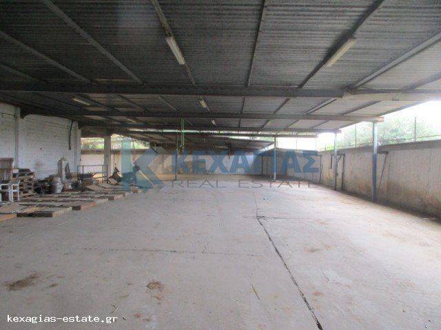 ΕΣΩΤΕΡΙΚΗ ΛΗΨΗ