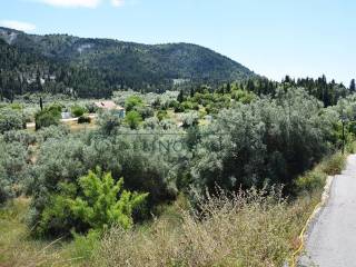 E prosbase apo demotike odo