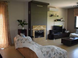 ΣΑΛΟΝΙ - ΚΑΘΙΣΤΙΚΟ