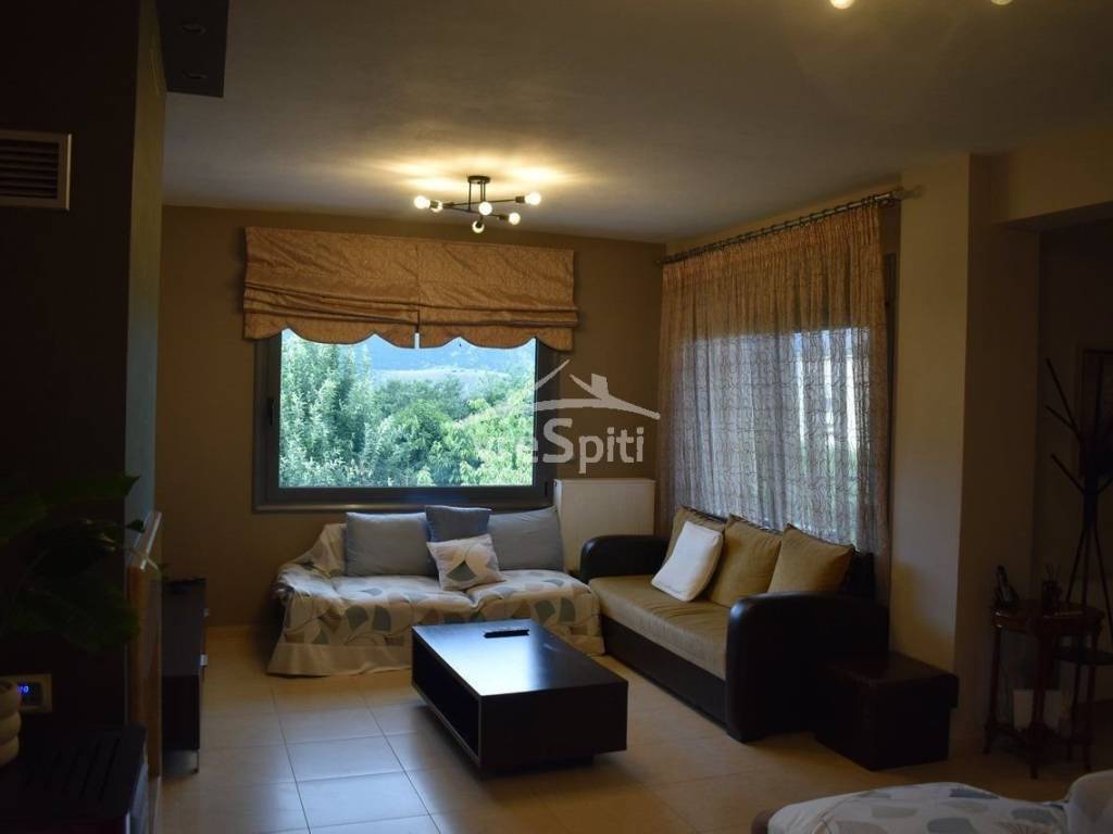 ΣΑΛΟΝΙ - ΚΑΘΙΣΤΙΚΟ