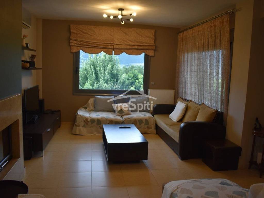 ΣΑΛΟΝΙ - ΚΑΘΙΣΤΙΚΟ