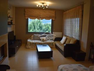 ΣΑΛΟΝΙ - ΚΑΘΙΣΤΙΚΟ