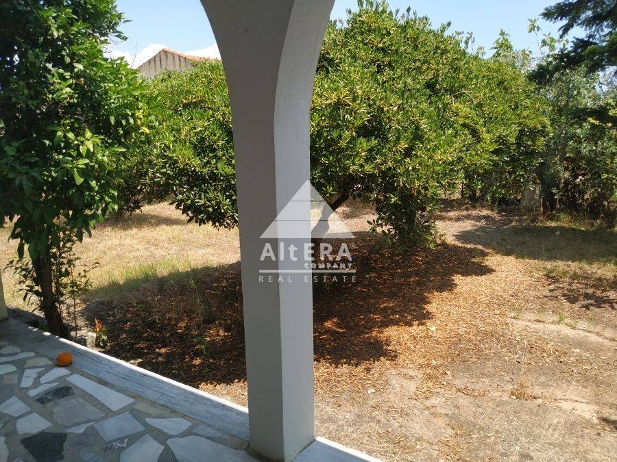 Εξωτερικός χώρος