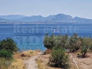 ΘΕΑ ΘΑΛΑΣΣΑ