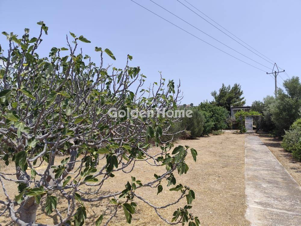 Εξωτερικός Χώρος