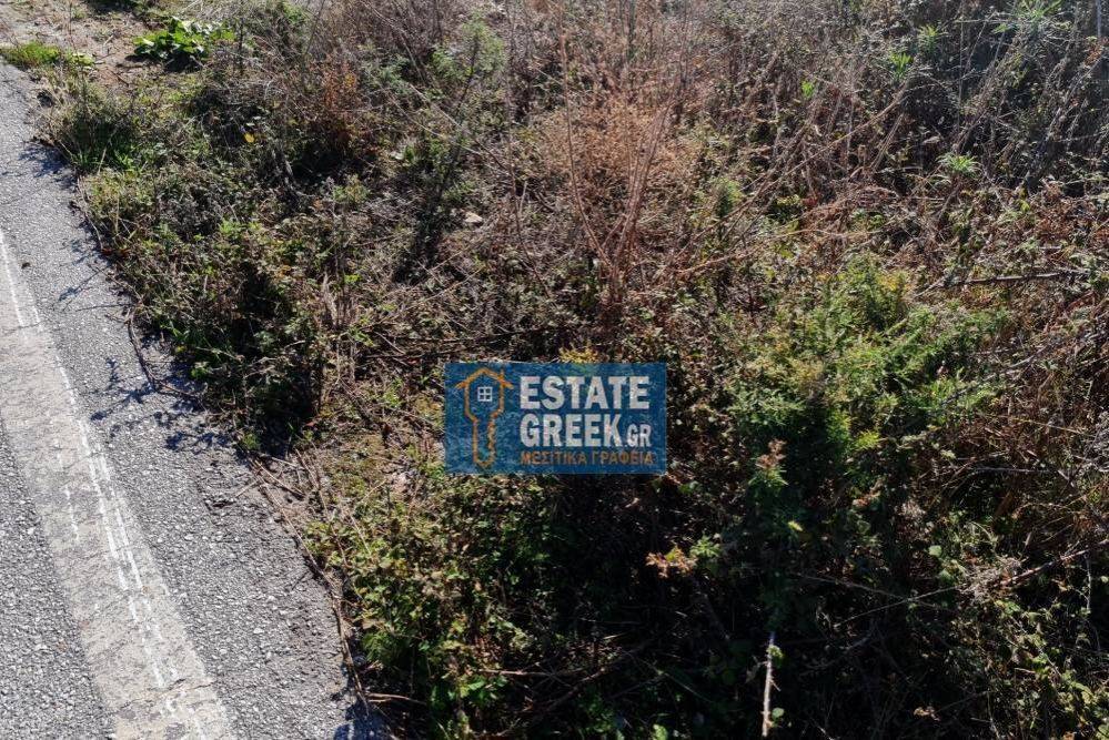 Μοναδικό αγροτεμάχιο 4.668 τ.μ., στην ΝΕΑ ΚΑΡΒΑΛΗ Καβάλας (κωδ. 5366)