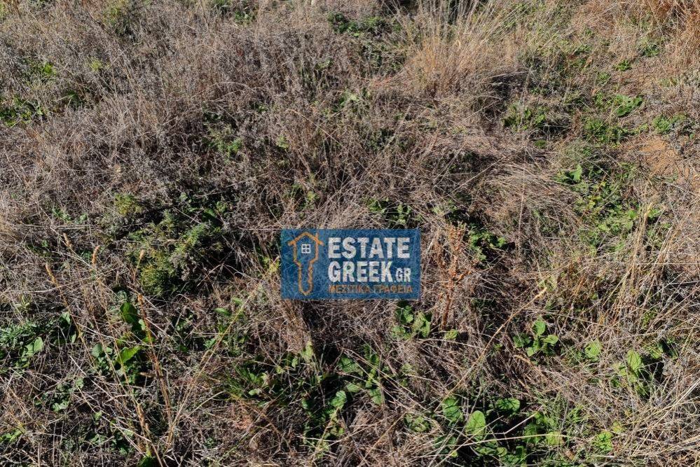 Μοναδικό αγροτεμάχιο 4.668 τ.μ., στην ΝΕΑ ΚΑΡΒΑΛΗ Καβάλας (κωδ. 5366)