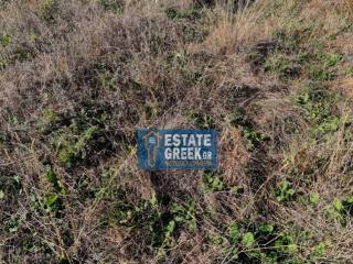 Μοναδικό αγροτεμάχιο 4.668 τ.μ., στην ΝΕΑ ΚΑΡΒΑΛΗ Καβάλας (κωδ. 5366)