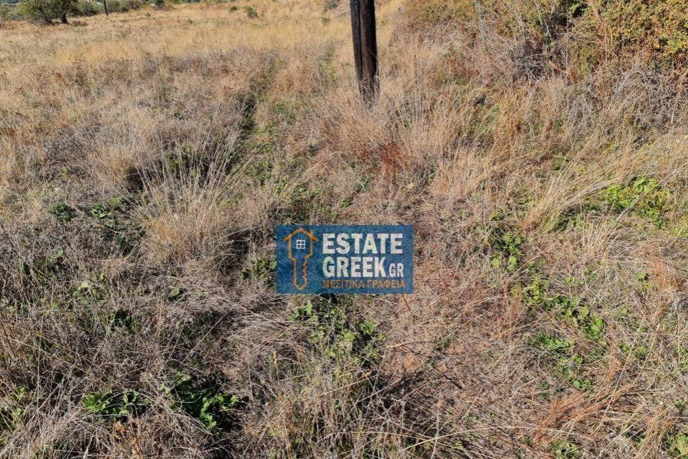 Μοναδικό αγροτεμάχιο 4.668 τ.μ., στην ΝΕΑ ΚΑΡΒΑΛΗ Καβάλας (κωδ. 5366)