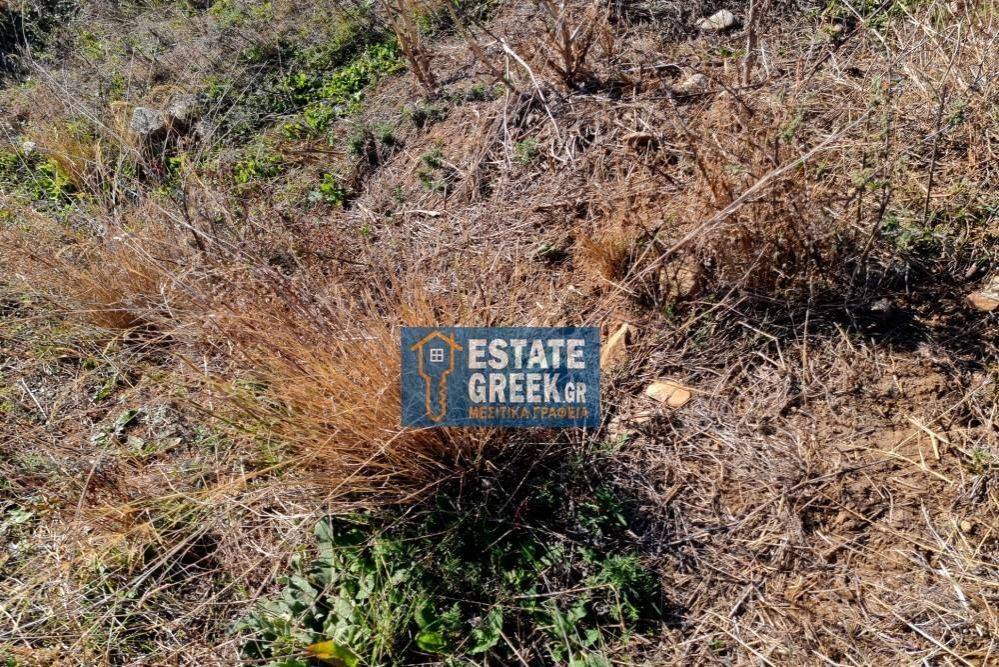 Μοναδικό αγροτεμάχιο 4.668 τ.μ., στην ΝΕΑ ΚΑΡΒΑΛΗ Καβάλας (κωδ. 5366)