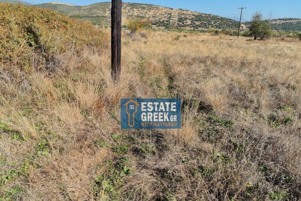 Μοναδικό αγροτεμάχιο 4.668 τ.μ., στην ΝΕΑ ΚΑΡΒΑΛΗ Καβάλας (κωδ. 5366)