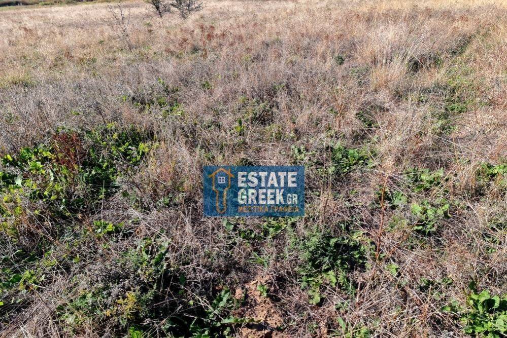 Μοναδικό αγροτεμάχιο 4.668 τ.μ., στην ΝΕΑ ΚΑΡΒΑΛΗ Καβάλας (κωδ. 5366)