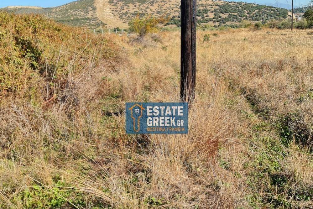 Μοναδικό αγροτεμάχιο 4.668 τ.μ., στην ΝΕΑ ΚΑΡΒΑΛΗ Καβάλας (κωδ. 5366)